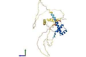 Protein Structure (PS) image for Paired-Like Homeobox 2b (PHOX2B) (AA 1-314) protein (His tag) (ABIN7562363)
