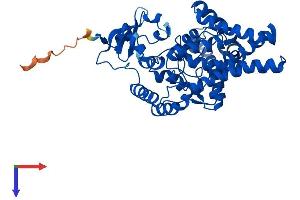 FADS1 Protein (AA 1-444) (His tag)