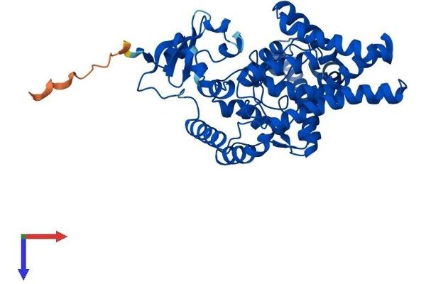 FADS1 Protein (AA 1-444) (His tag)