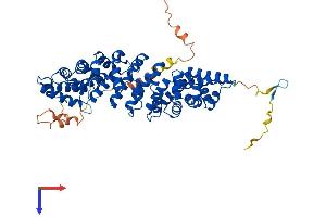 KPNA1 Protein (AA 1-538) (His tag)