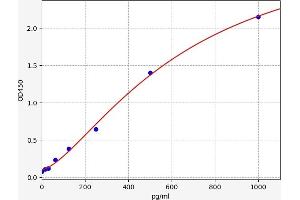 Interleukin 1 Family Member 9 (IL1F9) ELISA Kit