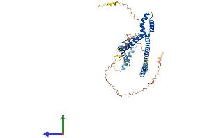 AlphaFold protein structure predicition of Mouse Recombinant Smarce1 Protein, UniprotID O54941