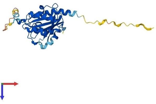 RAB20 Protein (AA 1-234) (His tag)