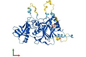 Protein Structure (PS) image for Polymerase (DNA Directed), delta 2, Accessory Subunit (POLD2) (AA 1-469) protein (His tag) (ABIN7547231)