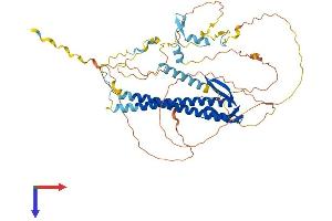 URI1 Protein (AA 1-531) (His tag)