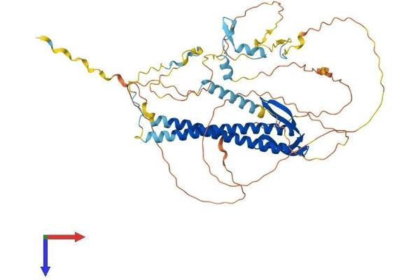 URI1 Protein (AA 1-531) (His tag)