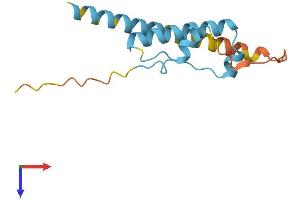 AlphaFold protein structure predicition of Human Recombinant KRBOX1 Protein, UniprotID C9JBD0