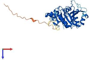 GTPBP8 Protein (AA 1-285) (His tag)