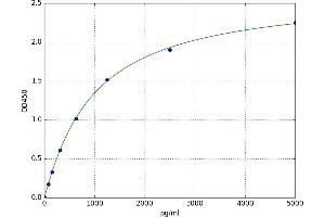 Adenylate Cyclase 10 (Soluble) (ADCY10) ELISA Kit