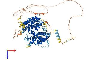 PARPBP Protein (AA 1-573) (His tag)