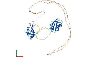 Protein Structure (PS) image for Musashi Homolog 1 (Drosophila) (MSI1) (AA 1-362) protein (His tag) (ABIN7549516)
