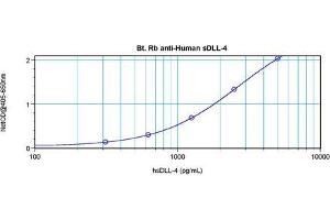 Enzyme Immunoassay (EIA) image for anti-delta-Like 4 (DLL4) antibody (Biotin) (ABIN568942)