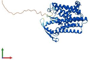 Protein Structure (PS) image for 7-Dehydrocholesterol Reductase (DHCR7) (AA 1-475) protein (His tag) (ABIN7547088)