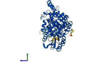 AlphaFold protein structure predicition of Human Recombinant KYNU Protein, UniprotID Q16719