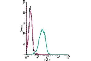 Cell surface detection of GPR109A by indirect flow cytometry in live intact mouse J774 macrophage cell line: + goat-anti-rabbit-FITC. (HCAR2 Antikörper  (Extracellular))