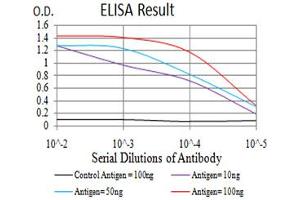 Fig. (LRP1 Antikörper  (AA 20-155))