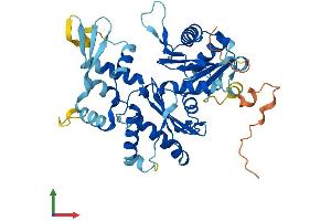 Protein Structure (PS) image for Actin-Related Protein 10 Homolog (ACTR10) (AA 1-417) protein (His tag) (ABIN7561820)