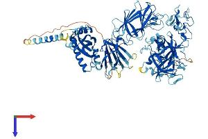 TMPRSS6 Protein (AA 1-811) (His tag)