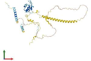 Protein Structure (PS) image for RD RNA Binding Protein (RDBP) (AA 1-380) protein (His tag) (ABIN7549677)