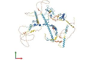 Protein Structure (PS) image for Splicing Factor 3b, Subunit 2, 145kDa (SF3B2) (AA 1-895) protein (His tag) (ABIN7555517)