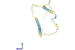 AlphaFold protein structure predicition of Human Recombinant EBAG9 Protein, UniprotID O00559