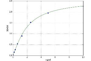 A typical standard curve (ADAM12 ELISA Kit)