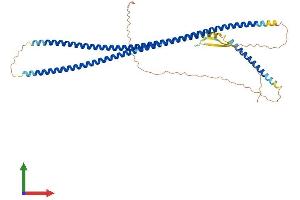 Protein Structure (PS) image for Keratin 26 (KRT26) (AA 1-462) protein (His tag) (ABIN7557083)