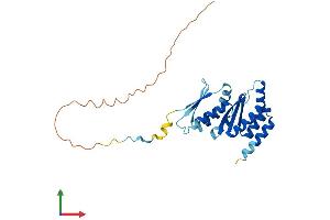 Protein Structure (PS) image for Partner of NOB1 Homolog (PNO1) (AA 1-252) protein (His tag) (ABIN7550877)