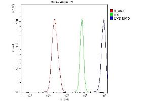Flow Cytometry analysis of U20S cells using anti-Emerin antibody (ABIN4886569). (Emerin Antikörper  (N-Term))