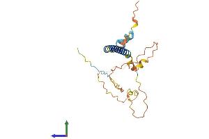 Protein Structure (PS) image for Chromosome 1 Open Reading Frame 190 (C1orf190) (AA 1-239) protein (His tag) (ABIN7549183)