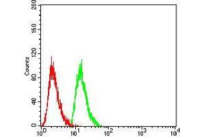 Flow Cytometry (FACS) image for anti-RAN, Member RAS Oncogene Family (RAN) (AA 1-216) antibody (ABIN5876159) (RAN Antikörper  (AA 1-216))