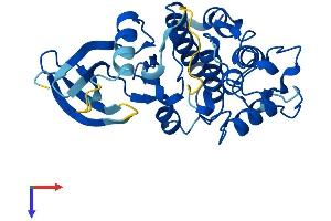 CDK5 Protein (AA 1-292) (His tag)