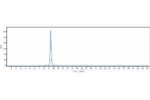 anti-GM-CSF (Plonmarlimab Biosimilar) antibody
