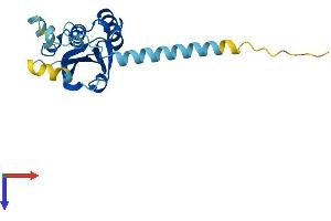PPPDE1 Protein (AA 1-194) (His tag)