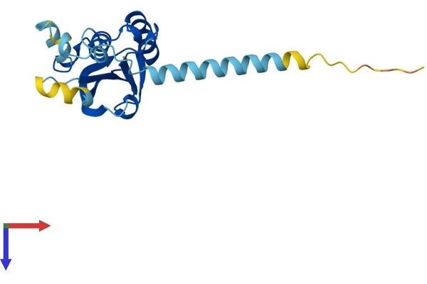 PPPDE1 Protein (AA 1-194) (His tag)