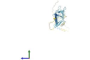 AlphaFold protein structure predicition of Mouse Recombinant Sgcb Protein, UniprotID P82349 (SGCB Protein (AA 1-320) (His tag))