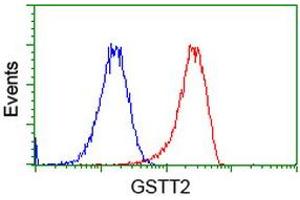 Flow cytometric Analysis of Hela cells, using anti-GSTT2 antibody (ABIN2453094), (Red), compared to a nonspecific negative control antibody (TA50011), (Blue). (GSTT2 Antikörper)