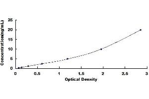 Typical standard curve (SLC25A20 ELISA Kit)