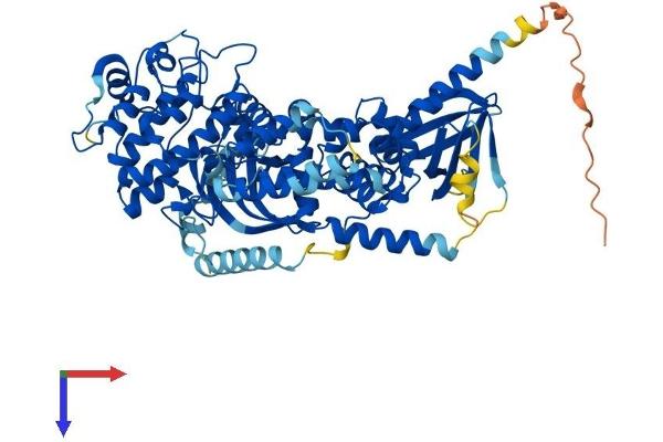 ADRBK2 Protein (AA 1-688) (His tag)