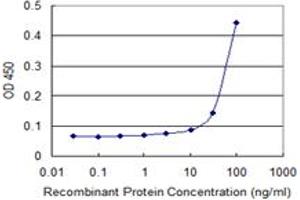 Detection limit for recombinant GST tagged FIBP is 10 ng/ml as a capture antibody. (FIBP Antikörper  (AA 1-357))