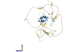 Protein Structure (PS) image for Ets Variant 3 (ETV3) (AA 1-512) protein (His tag) (ABIN7547536)