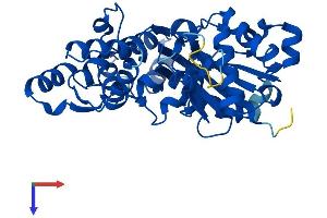 beta Actin Protein (AA 1-375) (His tag)