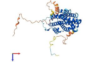 RRM2 Protein (AA 1-390) (His tag)