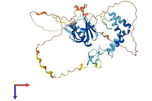 SPRED3 Protein (AA 1-410) (His tag)