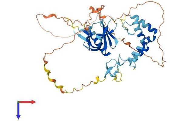 SPRED3 Protein (AA 1-410) (His tag)