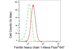 Flow cytometric analysis of Ferritin heavy chain 1 expression in HepG2 cells using Ferritin heavy chain 1 antibody (ABIN7798596), 1:2,000). (Rekombinanter FTH1 Antikörper)