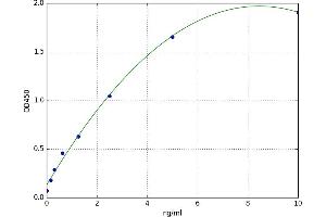 Megakaryoblastic Leukemia (Translocation) 1 (MKL1) ELISA Kit