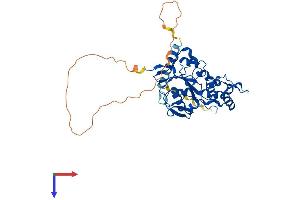 HS3ST3A1 Protein (AA 1-393) (His tag)