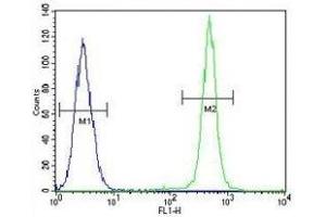 IGF1 antibody flow cytometric analysis of A549 cells (green) compared to a negative control cell (blue). (IGF1 Antikörper  (AA 115-144))