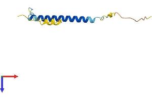 C19ORF53 Protein (AA 1-99) (His tag)